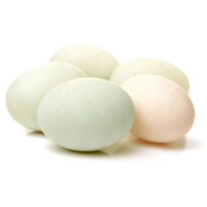 Duck Eggs