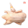 Indian Duck Meat - இந்திய வாத்து கறி