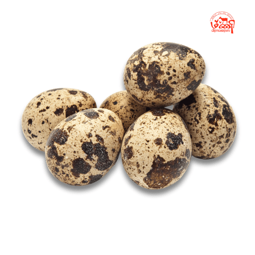 Kaadai Eggs - காடை முட்டை