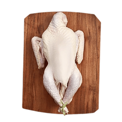 Sunday Special – Vaankozhi - ஞாயிறு சிறப்பு – வாண்கோழி