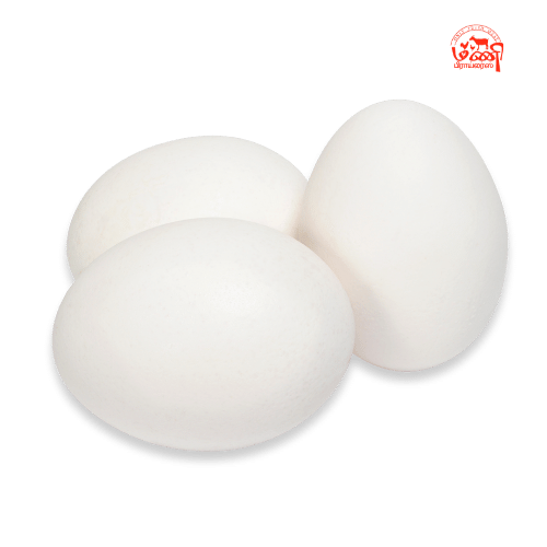 White Eggs - வெள்ளை முட்டை